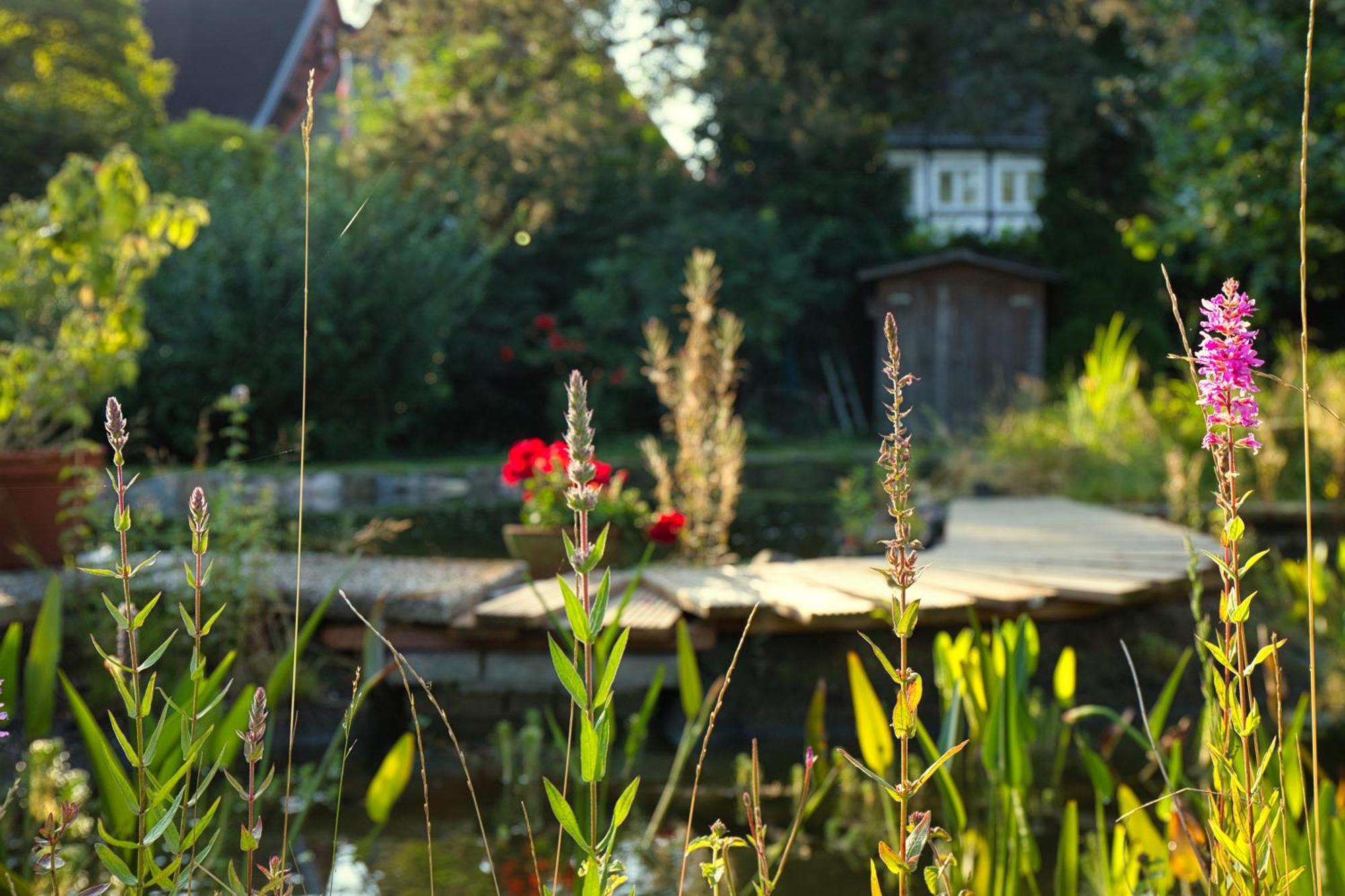 Gasthaus Benke, Fachwerkhaus In Westfalen Datteln Bagian luar foto